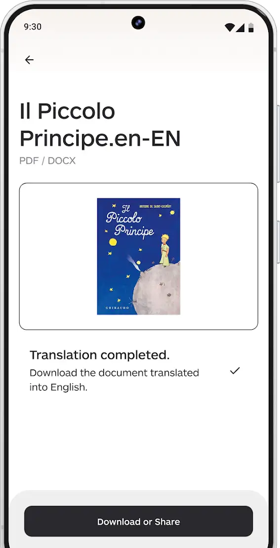 Document Translation